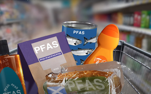 Examples of products that contain BPA, phthalates and PFAS Examples of